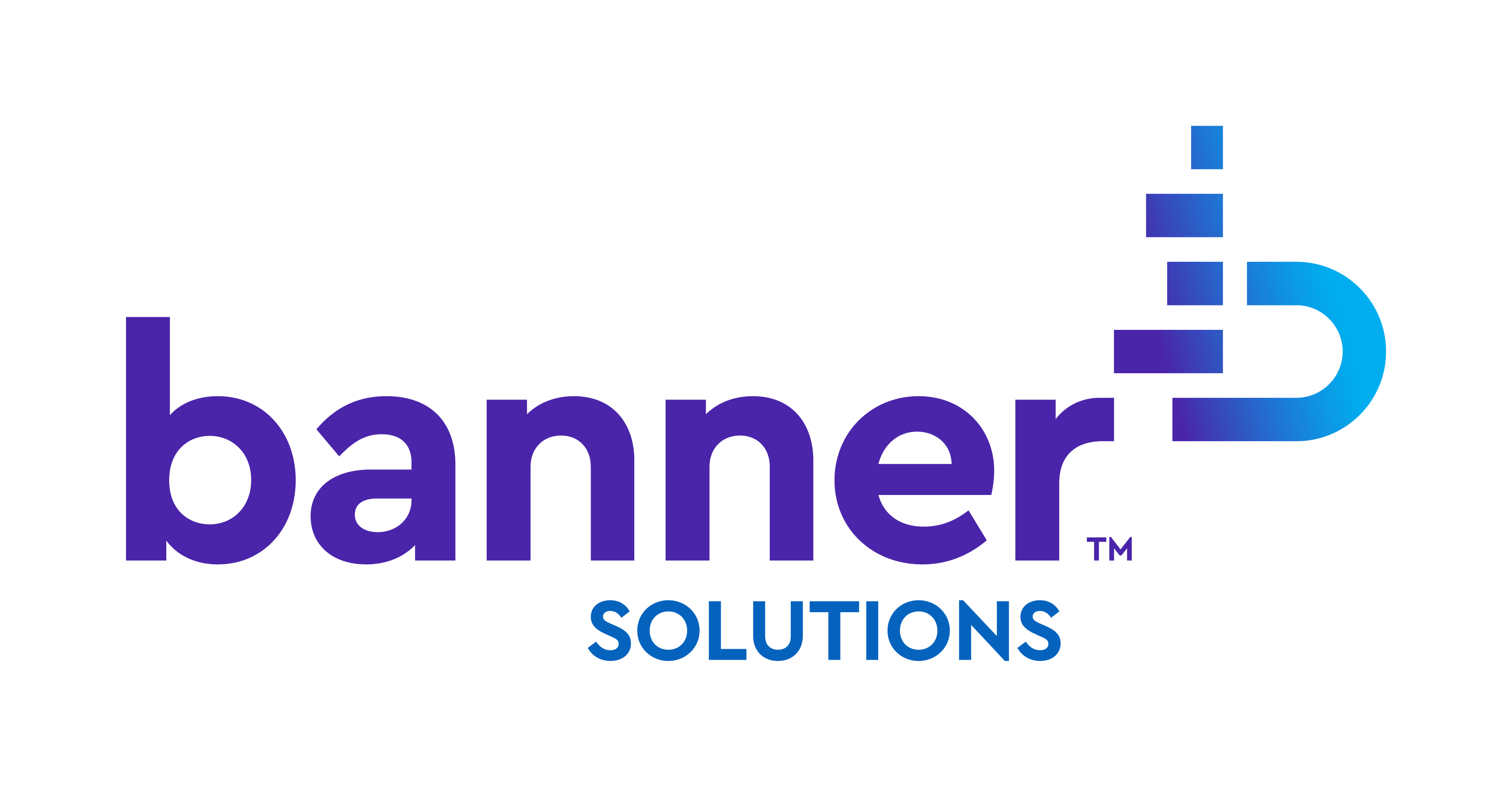 Banner Solutions Logo